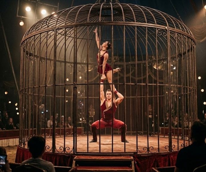 Cage acrobat show