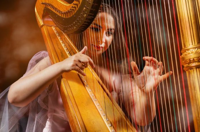 Harpist