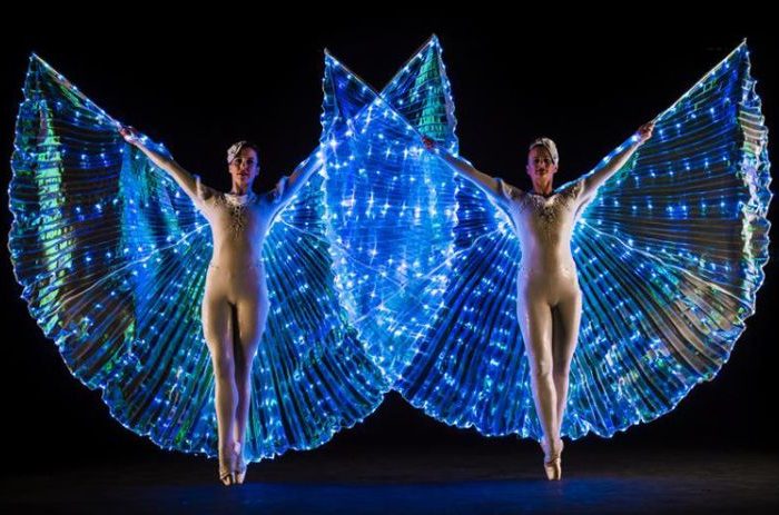 LED wing dancers